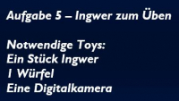 Leichte Ingwerbung